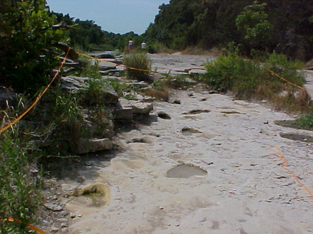 main site