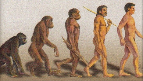 Monkey sequence